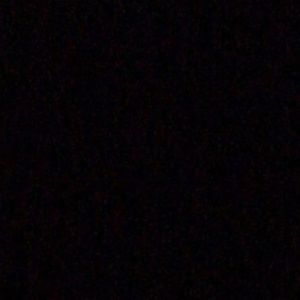 Meet your Posher, Donavon